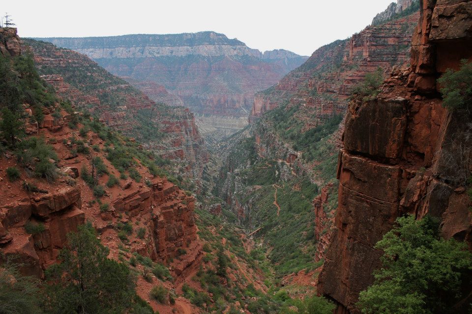 North Rim Grand Canyon from Coconino Overlook. Photo by Andrew Fromer.