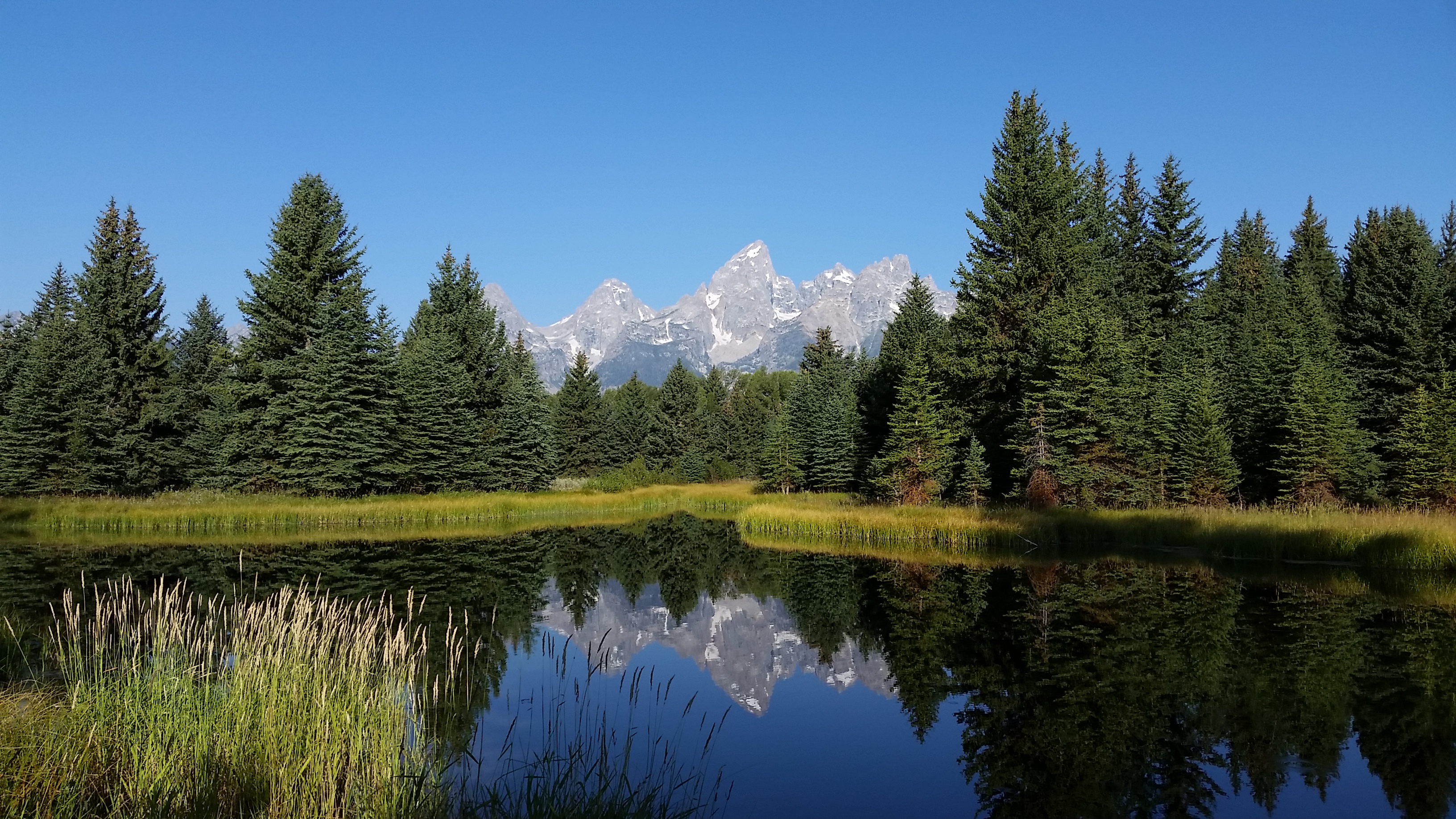 Schwabacher's Landing in Grand Teton National Park